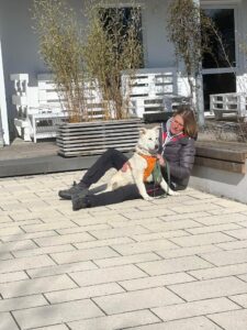 Tierschutzhund-Tierheim-München-Alltagstraining